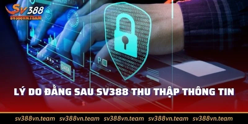 Quyền Riêng Tư Tại SV388 2 Website thu thập dữ liệu vì lý do chính đáng